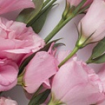 ГРАФИК РАБОТЫ ГРАФИК РАБОТЫ