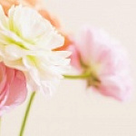 С 8 МАРТА С 8 МАРТА