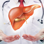 ОБСЛЕДОВАНИЕ ПЕЧЕНИ ОБСЛЕДОВАНИЕ ПЕЧЕНИ